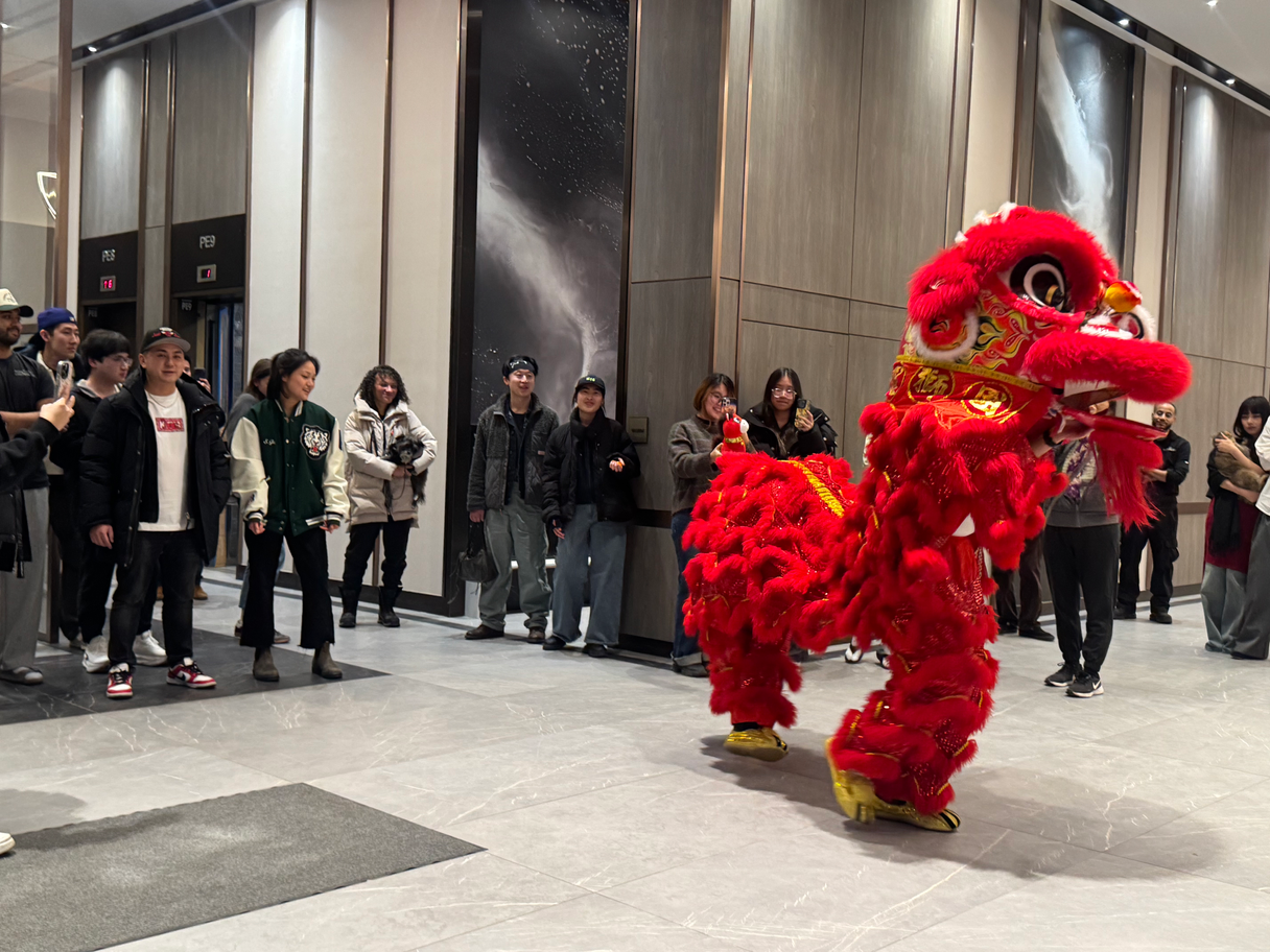 Lion Dance